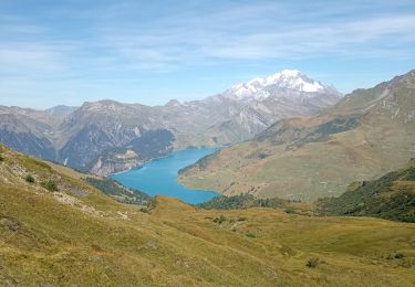 Tocht Mountainbike Beaufort - Roche pastire chevrerie - Photo