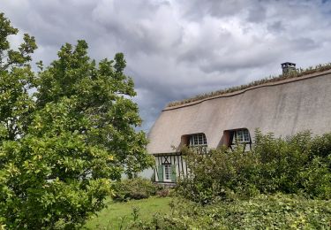 Trail Walking Aizier - Chemin des sources bleues - Photo