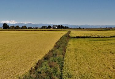 Excursión Senderismo Vercelli - CR_Francigena_BA_12_Verceil_Robbio_20190909 - Photo