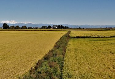 Trail Walking Vercelli - CR_Francigena_BA_12_Verceil_Robbio_20190909 - Photo