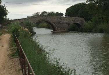 Tocht Stappen Agde - Agde - Photo