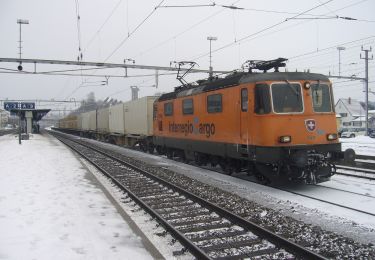 Randonnée A pied Illnau-Effretikon - Effretikon - Winterthur - Photo