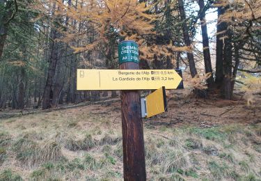 Tour Wandern Molines-en-Queyras - gardiole de l'alp - Photo