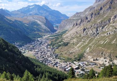 Randonnée Marche Val-d'Isère - de Solaise à légettaz par l'arolle millénaire - Photo