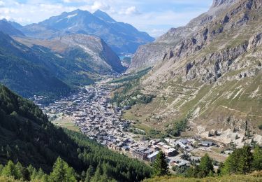 Trail Walking Val-d'Isère - de Solaise à légettaz par l'arolle millénaire - Photo