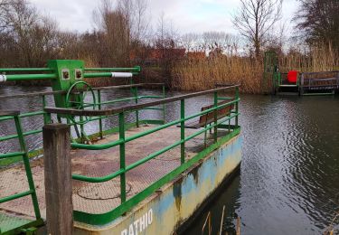 Tour Wandern Deinze - Randonnée des Filliers à Deinze - Photo