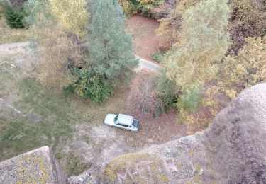 Tour Zu Fuß Philippsburg - Goldenberg-Pfad - Photo