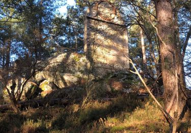 Randonnée Marche Arbonne-la-Forêt - Feuillardiere Chemin de la Sapinière  - Photo