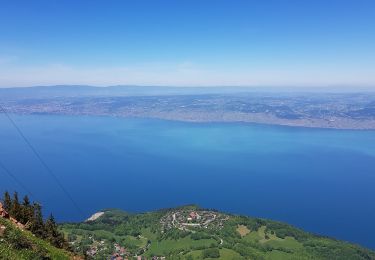 Excursión Ruta Bernex - test appli Thonon les mémises ken - Photo