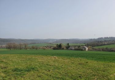 Randonnée Marche Anhée - rando ornitho haut le wastia 01/04/2021 - Photo