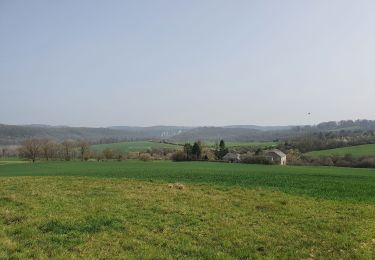 Trail Walking Anhée - rando ornitho haut le wastia 01/04/2021 - Photo