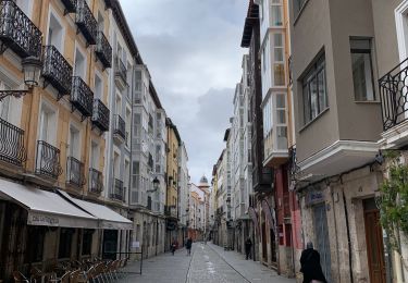 Trail Walking Villafranca Montes de Oca - 2023 10 23 CAMINO FRANCES - 31ème étape : Villafranca Montés del Oca - San Juan de Ortega - Atapuerca - Cardañuela-Riopico - Orbaneja-Riopico - Burgos - Photo