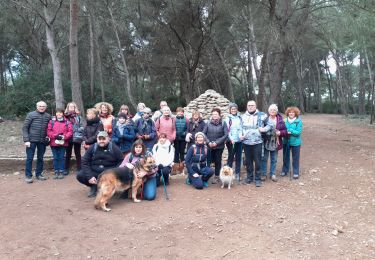 Tocht Stappen Frontignan - Les Aresquiers-Vic La Gardiole- 7,1km-40m - Photo