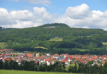 Tour Zu Fuß Ehrenberg - Wüstensachsen, Rundweg 10 - Photo