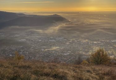 Randonnée A pied Brescia - Monte Maddalena da Botticino Sera - Photo