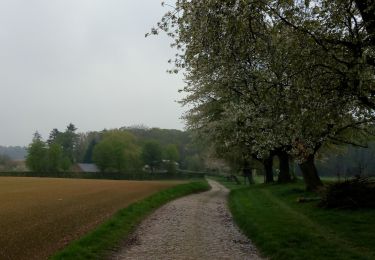 Tour Wandern Court-Saint-Étienne - arbre de la justice et pâturage - Photo