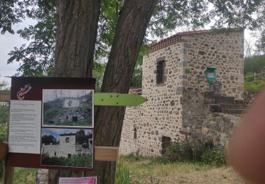 Tour Wandern Perrier - Perrier, les grottes troglodytes - Photo