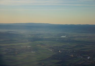 Tour Zu Fuß Gemeinde Biedermannsdorf - Heat Runde - Photo