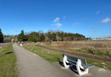 Excursión Senderismo Le Touquet-Paris-Plage - Le Touquet : promenade de la Canche - Photo