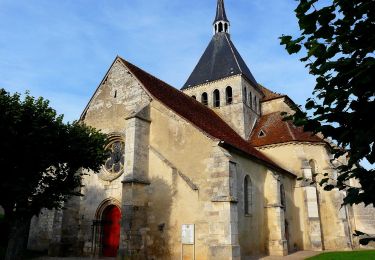 Percorso A piedi Bernouil - Les Vignes de l'Empereur - Photo