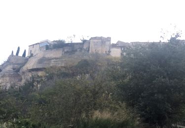 Percorso Corsa a piedi Les Baux-de-Provence - Tamalous-Les Baux-01112019 - Photo