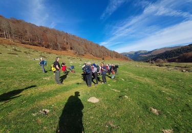 Trail Walking Ancizan - payolle Hourquette d 'Ancizan G3 - Photo