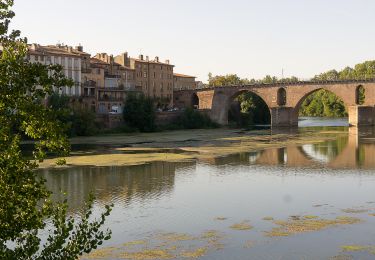 Tocht Fietstoerisme Moissac - Moissac-Montauban - Photo