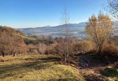 Randonnée Marche Sare - Col en col la Rhune SARE  - Photo