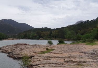 Tocht Mountainbike Théoule-sur-Mer - tour de l'esterel - Photo