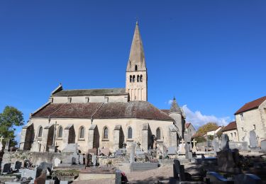 Tocht Te voet Bligny-sur-Ouche - Rail d'Antan 5 km - Photo