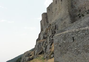 Trail On foot Isola del Giglio - Castello - Dolce - Aierella - Campese - Photo