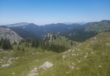 Randonnée Marche Mieussy - le tour de la haute pointe  - Photo