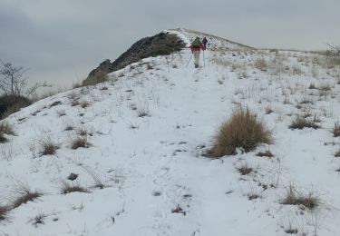 Tour Wandern Saint-Geniez - Le Trainon - Photo