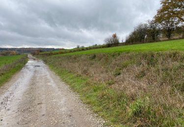 Randonnée Marche Florenville - Lacuisine 14,7 km - Photo