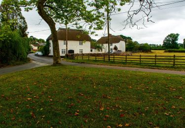 Tocht Te voet Teignbridge - Kenn to Haldon Trail - Photo