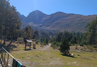 Trail Walking Casteil - Jour 2 Pic du Canigou  - Photo