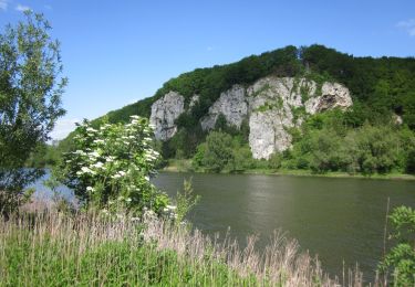 Trail On foot Bad Abbach - S 03 Saal Bf - Bad Abbach Bf (Rotes Rechteck) - Photo