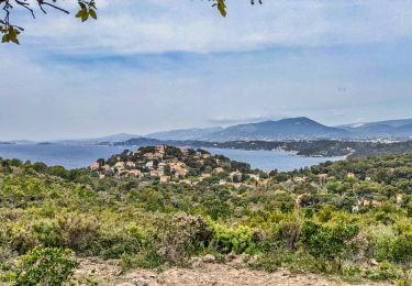 Tour Wandern Le Pradet - pointe du baou rouge - Photo