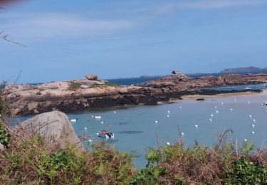 Randonnée Marche Perros-Guirec - 24-04-24GR34 - Photo