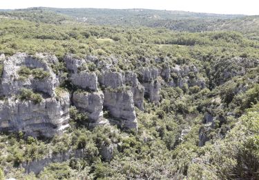 Tour Wandern Oppedette - Gorges D'Oppedette - Photo