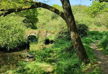 Tour Wandern Plouguernével - circuit de la rivière  - Photo
