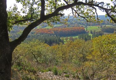 Tour Wandern Martel - 11255276-le Mont Mercou depuis Martel - Photo