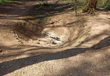 Percorso Mountainbike Méréville - Méréville-Deuille d'Ochey - Photo