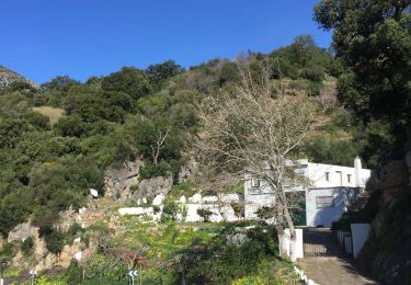 Tour Wandern Casares - Casares boucle vautours  - Photo