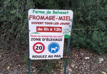Trail Walking Taradeau - taradeau l'oppidum - Photo
