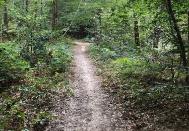 Tour Wandern Varennes-Vauzelles - Bertranges 08092019 - Photo