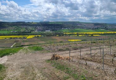 Trail Walking Brasles - Brasles du 15-04-2025 - Photo