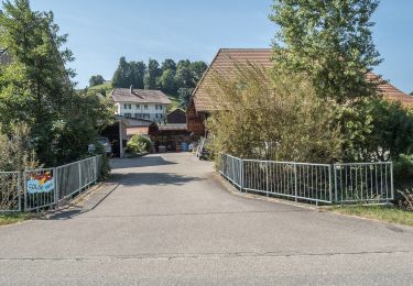Trail On foot Eriswil - Eriswil - Wyssachen - Photo