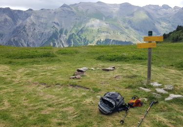 Tocht Stappen Lavaldens - Plancol - Photo