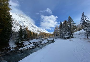 Tour Wandern Orsières - ferret La Foully - Photo